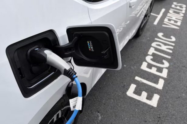 Global elektromobil savdosi